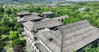 旅拍风景,火车,大自然,美景,歌曲演唱,树木,植物,全景