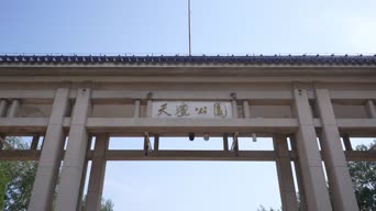 庭院,农村,树木,全景