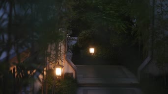 配音,树木,植物,全景