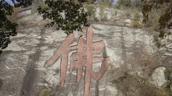 旅拍风景,配音,树木,植物,全景