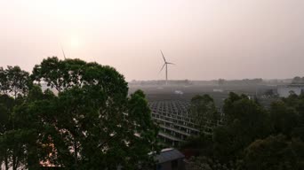 美景,夕阳,配音,树木,植物,全景