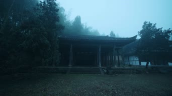 自拍,配音,知识,树木,全景