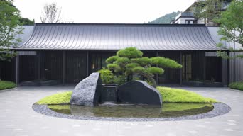 旅拍风景,车讯,树木,植物,全景