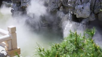 旅拍风景,蜜蜂,美景,植物,树木,全景