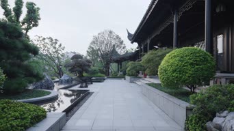 旅拍风景,配音,植物,树木,全景