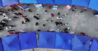 旅拍风景,配音,知识,伞,全景