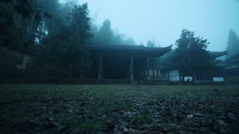 自拍,配音,知识,树木,植物,全景