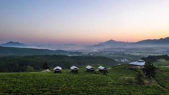 旅拍风景,大自然,美景,旅拍,树木,植物,全景
