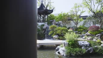 旅拍风景,配音,植物,树木,全景