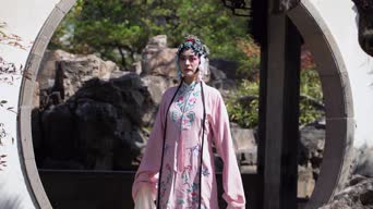 美女帅哥,神曲,衣服,树木,植物,全景