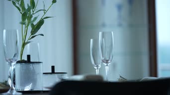 配音,桌子,植物,全景