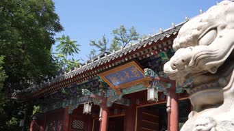 旅拍风景,配音,树木,植物,全景