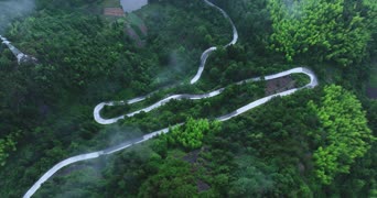 旅拍风景,配音,知识,树木,植物,全景