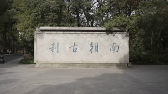 配音,树木,植物,全景