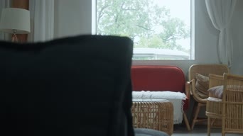 室内设计,美景,桌子,全景