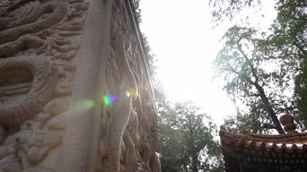旅拍风景,美景,大自然,树木,植物,全景