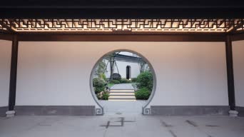 植物,树木,全景