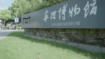 旅拍风景,配音,知识,树木,植物,全景