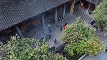 旅拍风景,美景,大自然,树木,植物,全景