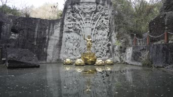 旅拍风景,配音,树木,植物,全景