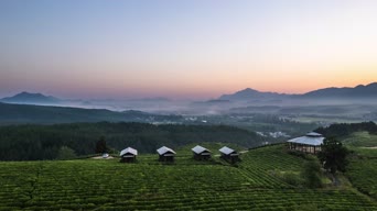旅拍风景,大自然,美景,旅拍,树木,植物,全景