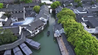 旅拍风景,配音,树木,植物,全景