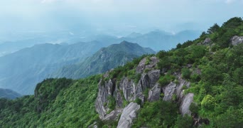 旅拍风景,美景,大自然,树木,全景