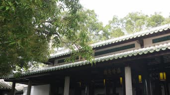 旅拍风景,配音,树木,植物,全景