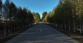 旅拍风景,配音,树木,植物,全景