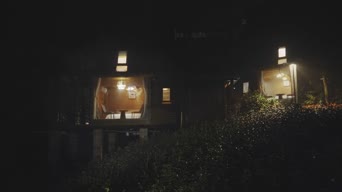 夜景,灯光,树木,灯塔,全景