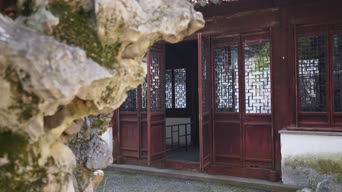 旅拍风景,配音,树木,植物,全景
