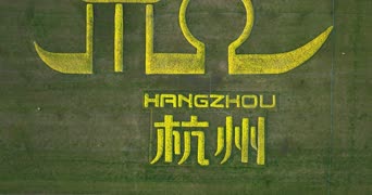 创意素材,知识,足球,植物,全景