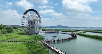 旅拍风景,记录,美景,旅拍,大自然,树木,湿地,全景