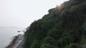 旅拍风景,配音,知识,树木,植物,全景