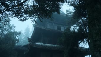 配音,树木,植物,全景