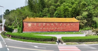 旅拍风景,大自然,vlog,植物,树木,中国,中国宣纸设备有限公司,全景