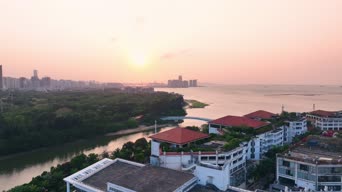 美景,城市,大自然,树木,全景