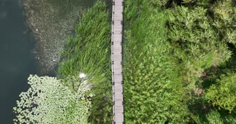 旅拍风景,配音,树木,植物,全景