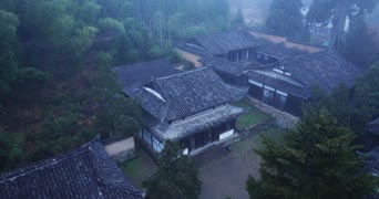 旅拍风景,美景,大自然,树木,植物,全景,中村家住宅