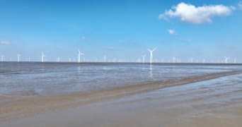 旅拍风景,大海,美景,大自然,全景,高美野生动物保护区