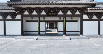 旅拍风景,配音,知识,树木,全景