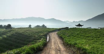 旅拍风景,配音,树木,植物,全景