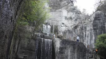 旅拍风景,配音,树木,植物,全景