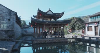旅拍风景,配音,知识,树木,全景
