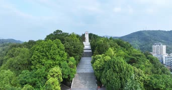 旅拍风景,歌曲演唱,大自然,美景,树木,植物,全景