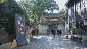 旅拍风景,配音,知识,树木,植物,衣服,风采,全景