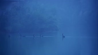大海,嗨曲,全景