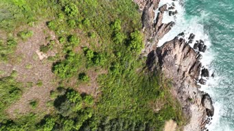 旅拍风景,美景,记录,大自然,植物,树木,悬崖,全景