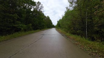 旅拍风景,大自然,美景,树木,山路,全景
