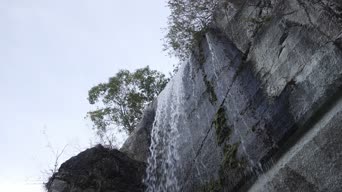 旅拍风景,配音,树木,植物,全景